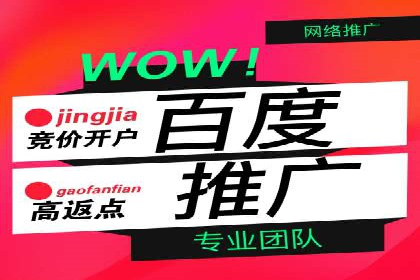 百度品牌专区推广的成效与案例